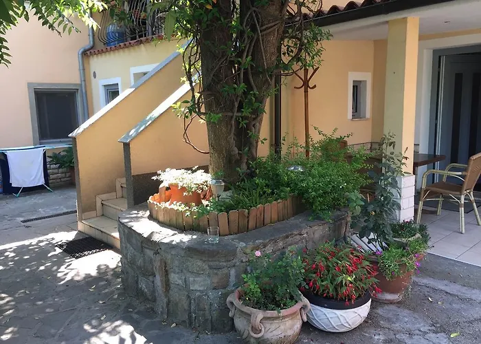 호스텔 뮤지엄 코페르